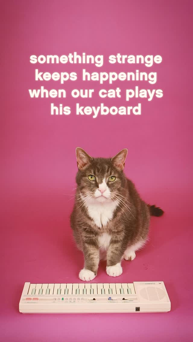Instagram post by @carolclevelandsings for PrettyLitter. Caption reads: Has this happened to anyone else when their cat....