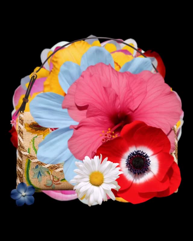 Instagram post by @animuspax for Valentino. Caption reads: Frame by frame, in full bloom.

Animus Pax....