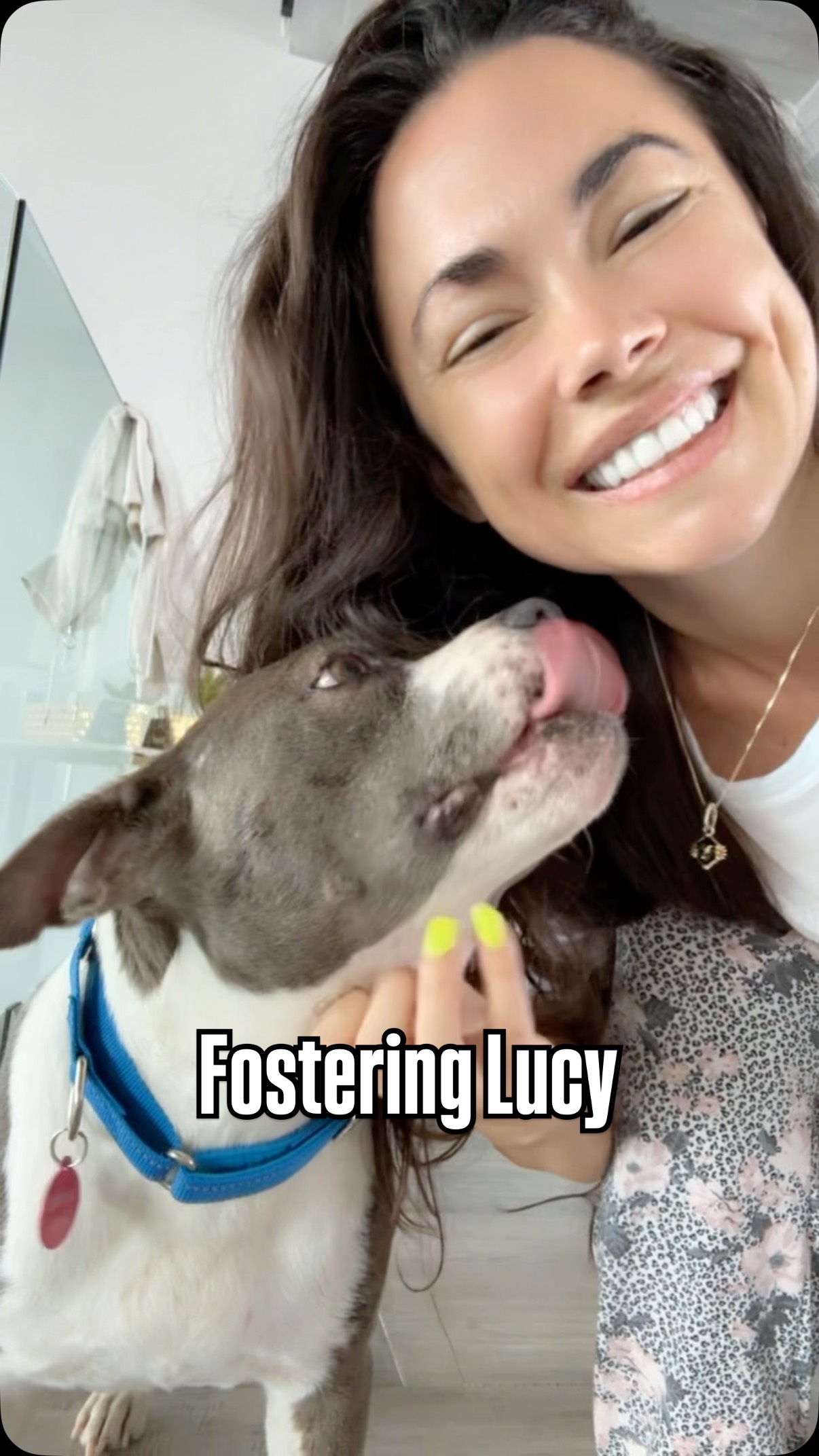 Instagram post by @rhiannon.roze for Pups Without Borders. Caption reads: Adopt Lucy @pupswithoutborders 🐶💕🐾....