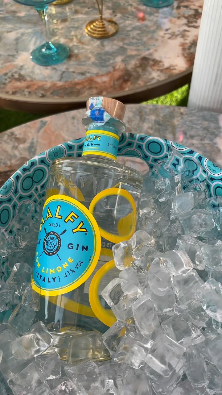 Instagram post by @fao.shyshy for MALFY Gin. Caption reads: Good vibes, great company, and unforgettable....