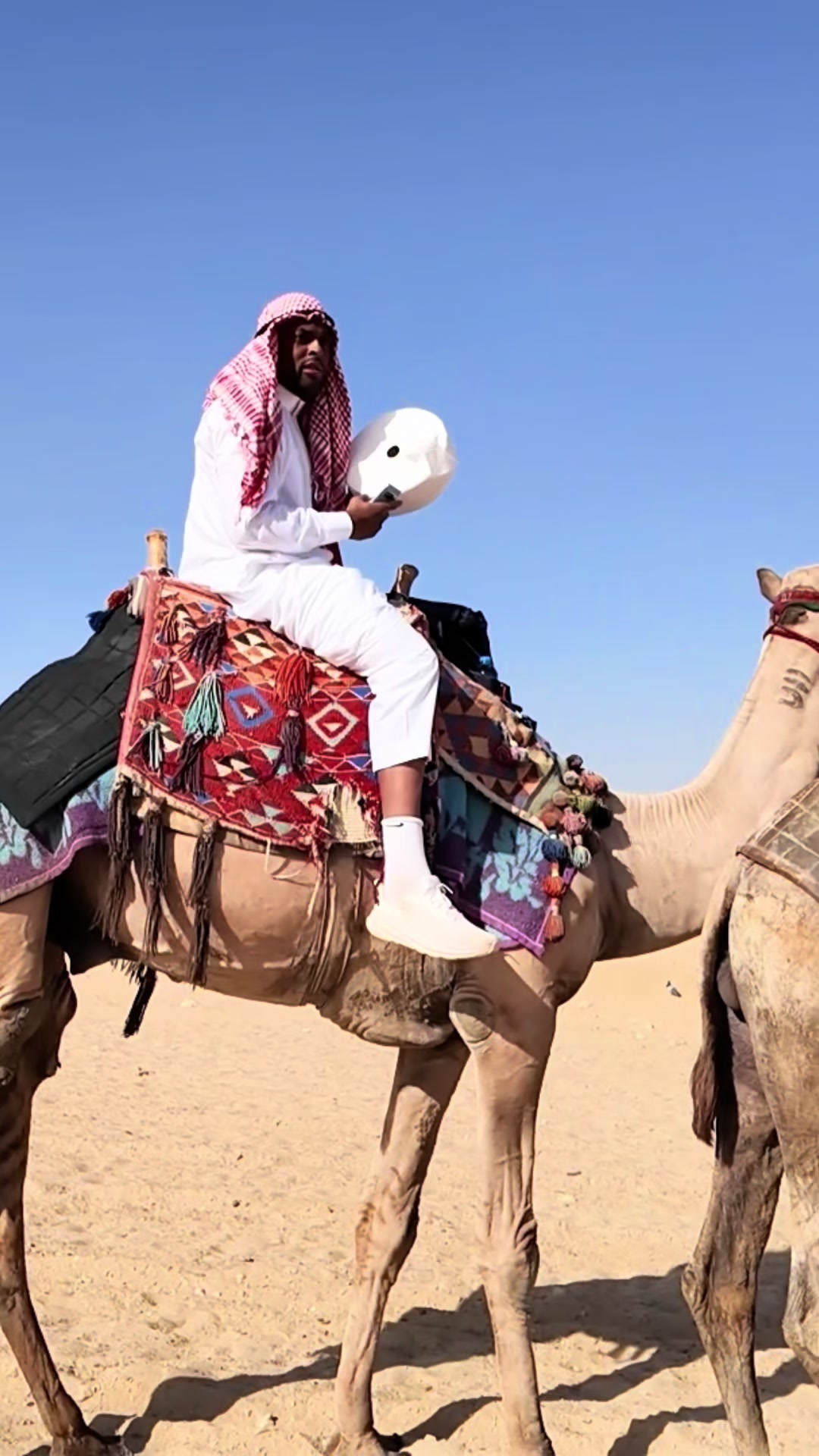 TikTok post by @leethe4th for Charmin. Caption reads: #ad #CharminPartner I traveled around the entire....