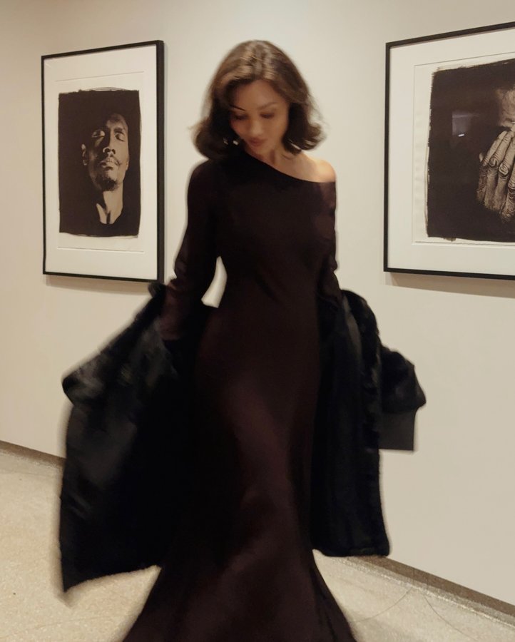 Instagram post by @aminavassa for DISSH. Caption reads: A night at the museum celebrating @sulwhasoo.us 60....