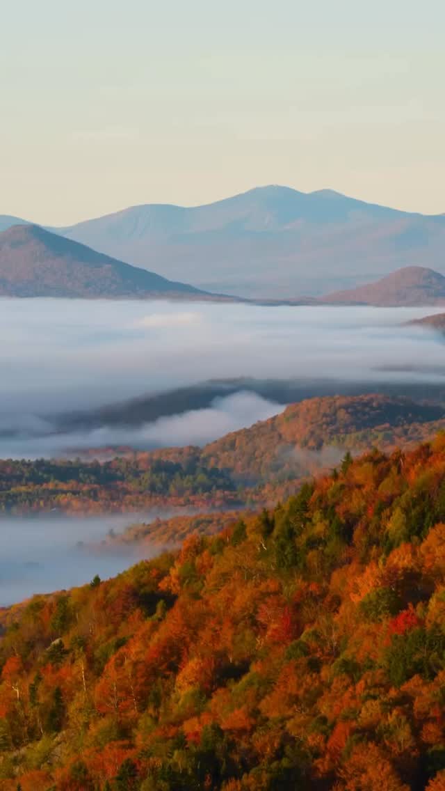 Instagram post by @juliiathompson for Lexar. Caption reads: What makes you happy? Autumn colours, foggy....