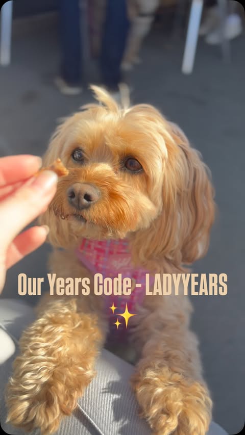 Instagram post by @ladythecavapoo20 for More Years. Caption reads: What we feed our pups 🐶 is so important and we....