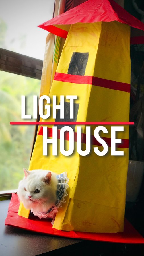 Instagram post by @sanju_barai for Cats of Instagram. Caption reads: Happy birthday Genie 🌼 
Genie এর জন্য বানানো এই....