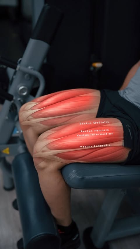 Instagram post by @iakhileshchandra for MyProtein. Caption reads: [...] trusted brand. My choice of brand is....