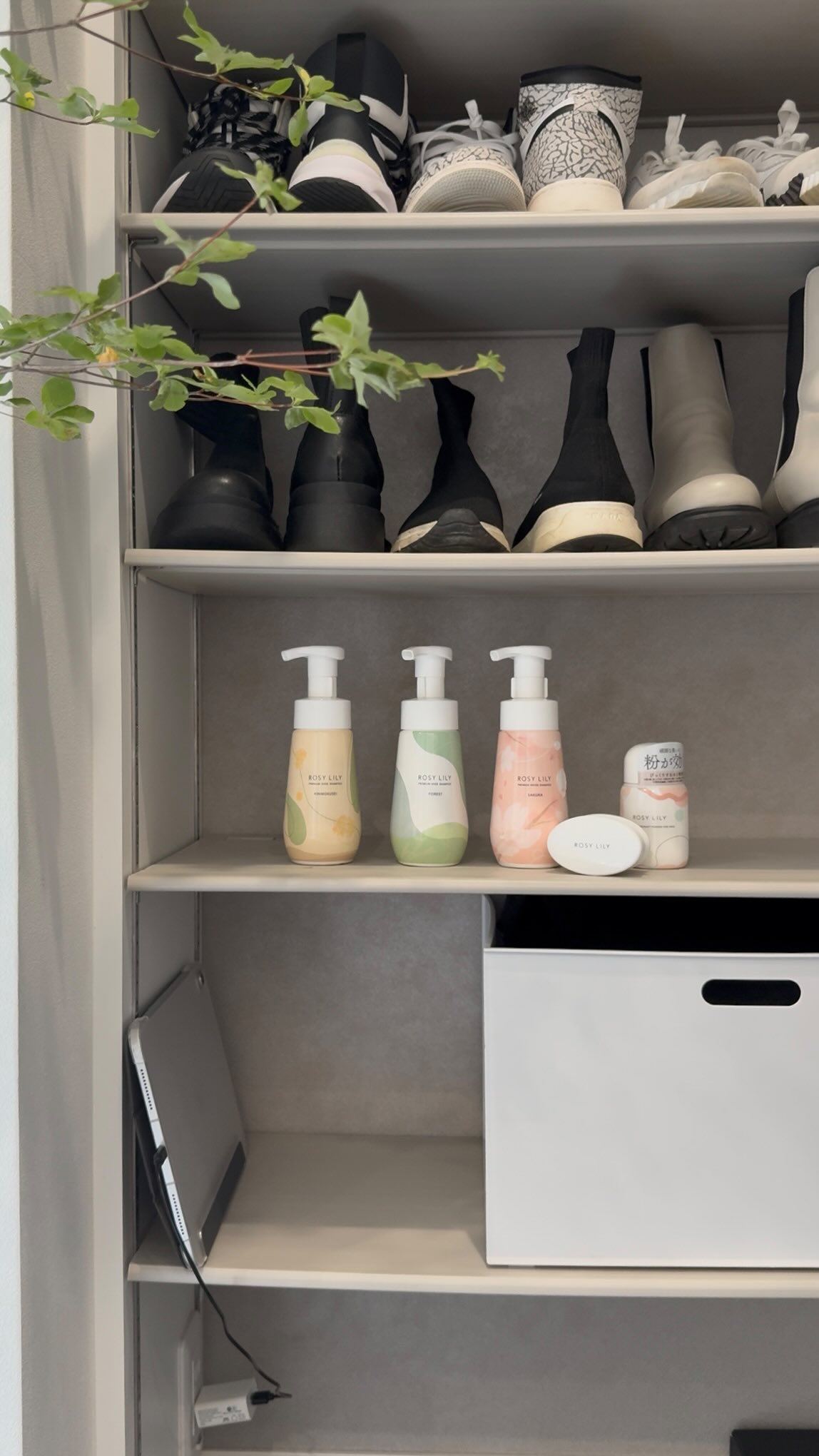 Instagram post by @_______wm.home for Rosy Lily. Caption reads: 👟✨水なしでここまで綺麗に✨👟⁣
⁡⁣
「シュークロの匂い気になりませんか？」⁣
よくいただく質....