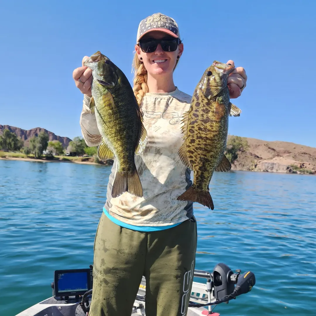 Instagram post by @brittanybassett for DSG Outerwear. Caption reads: Off to a good start... Parker never disappoints .....