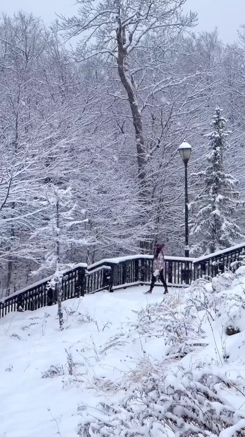 Instagram post by @biancajwelling for Visit Maine. Caption reads: What’s the first thing you think of when you....