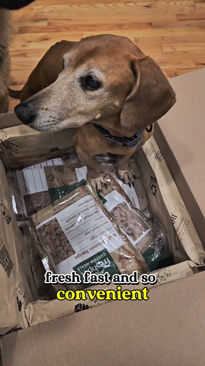 Instagram post by @anji_and_her_dogs for Freshpet. Caption reads: Two dogs. Two different needs. One easy solution:....