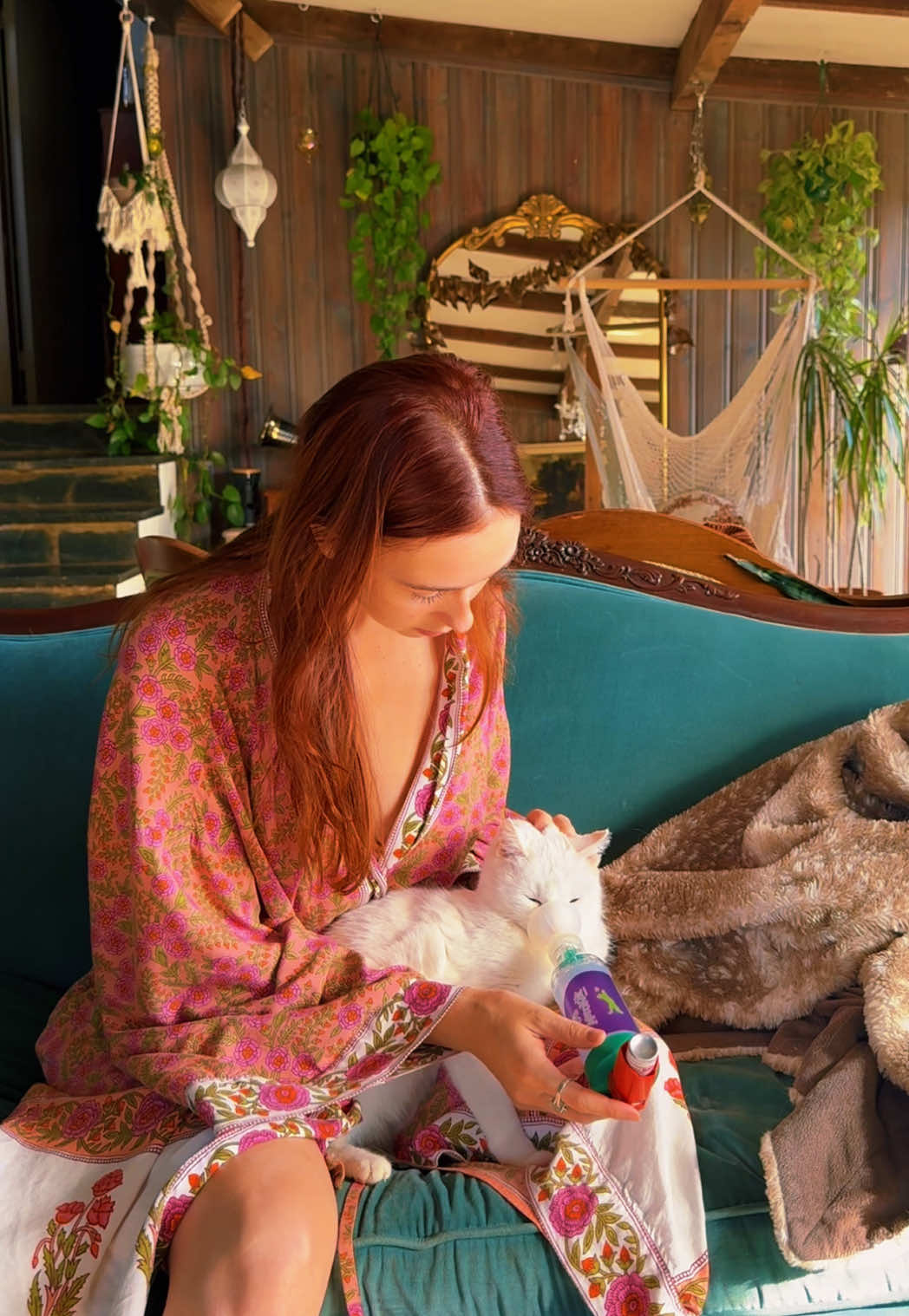 TikTok post by @alltheferalfawns for Purina. Caption reads: [...] food: Rayne nutrition Hydra care: @PURINA ....