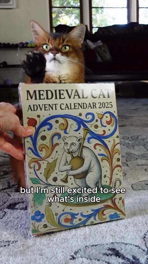 Instagram post by @summerstravels for Cameo. Caption reads: Well, this Medieval Cat Advent Calendar is REALLY....