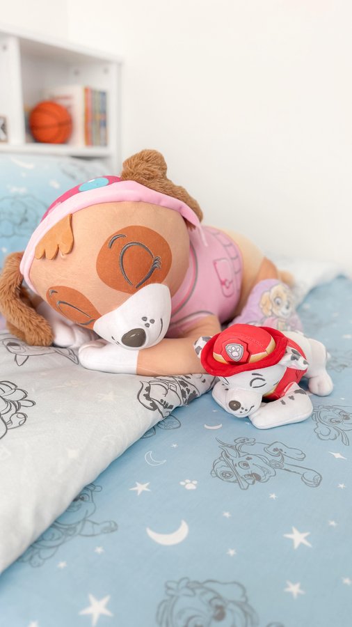 Instagram post by @__tribe_of_five__ for PAW Patrol. Caption reads: [...] and check out the new PAW Patrol x Calm....