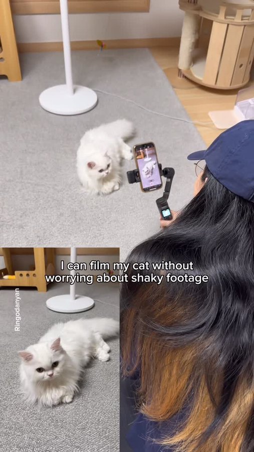 Instagram post by @ringodanyan for Hohem. Caption reads: [...] here—check it out today! 🔗link in bio✨....