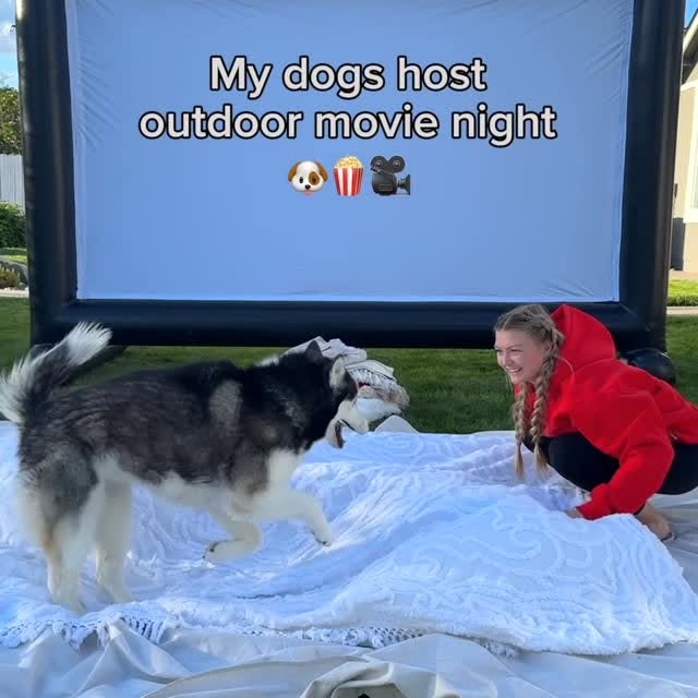 Instagram post by @thehuskyfam for Kradle. Caption reads: [...] simply the best and pair perfectly....