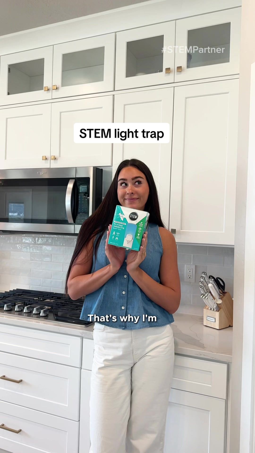 TikTok post by @thestadlerfam for STEMforBugs. Caption reads: [...] & Traps Flying Insects [Light Trap]....
