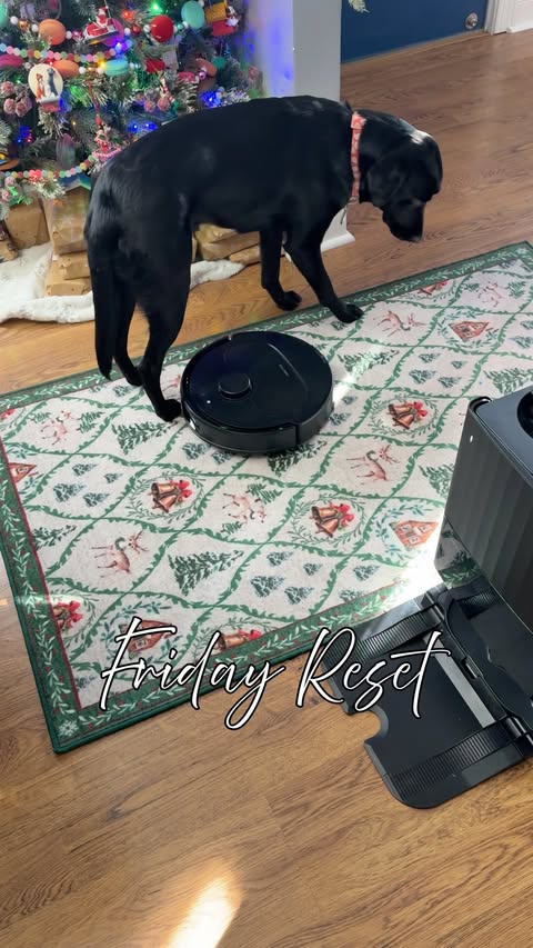 Instagram post by @livingplanetfriendly for Roborock. Caption reads: Friday reset featuring my side kick @roborock....