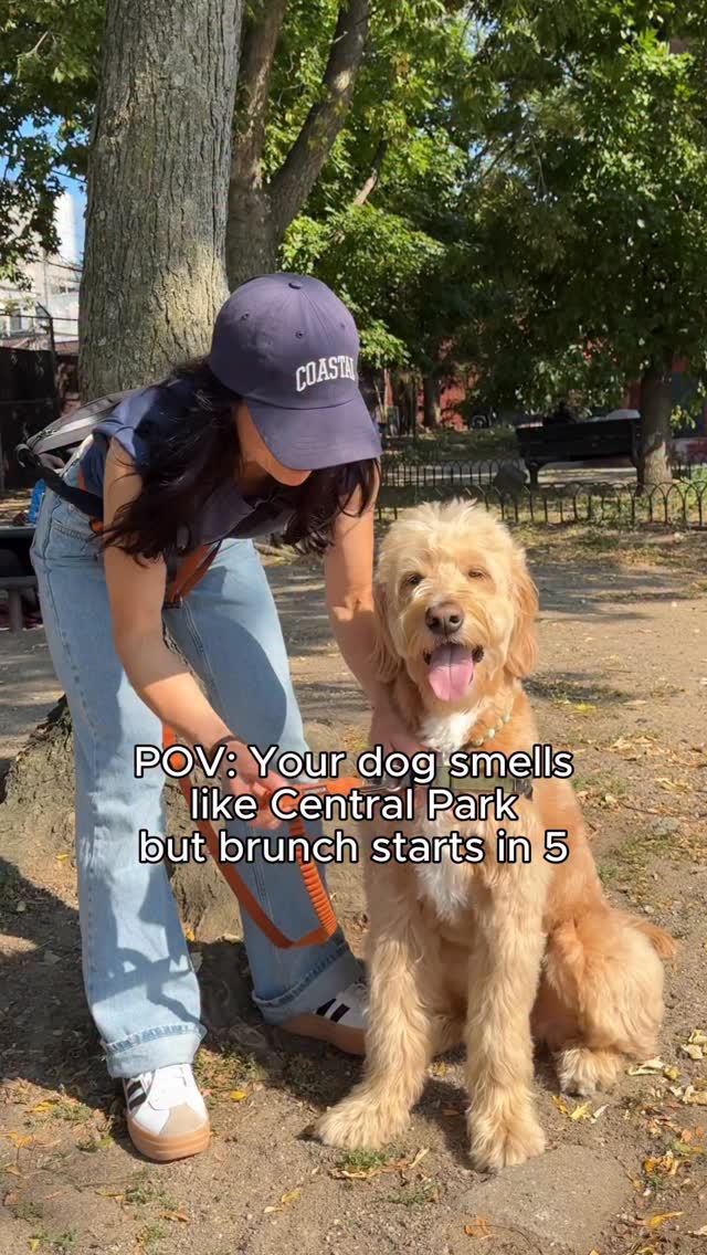 Instagram post by @vitothedogfather for Earth Rated. Caption reads: Central Park puddle to SoHo chic in 60 seconds....