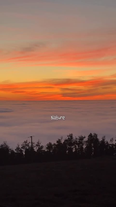 Instagram post by @fitforadventure_ for VIVOBAREFOOT. Caption reads: The older I get the more I crave finding ways to....