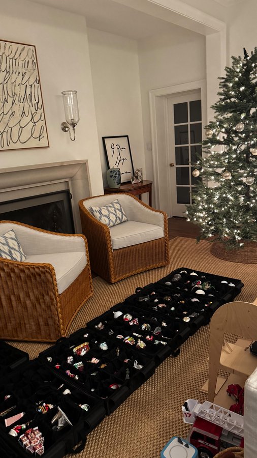 Instagram post by @daniellemoss_ for The Container Store. Caption reads: How Virgos do the holidays 🎄🎅🏻 Comment TREE and....