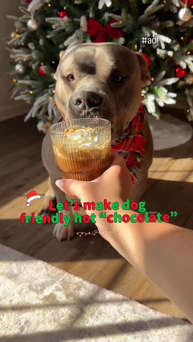 Instagram post by @chulpanfam for Solid Gold Pet. Caption reads: [...] adding 1/3 cup goat milk and 2/3 cup....