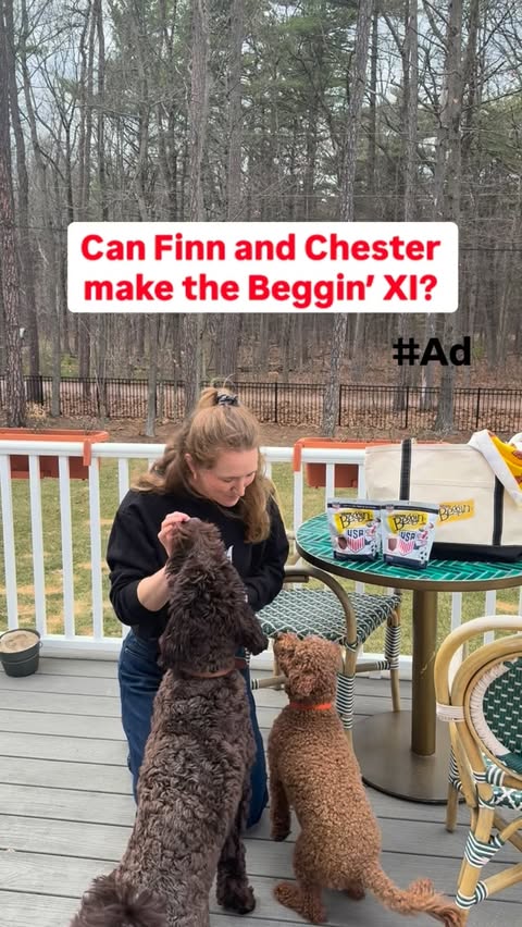 Instagram post by @sammymewyy for Purina. Caption reads: [...] PM ET. See rules at Sponsor: Nestle Purina....