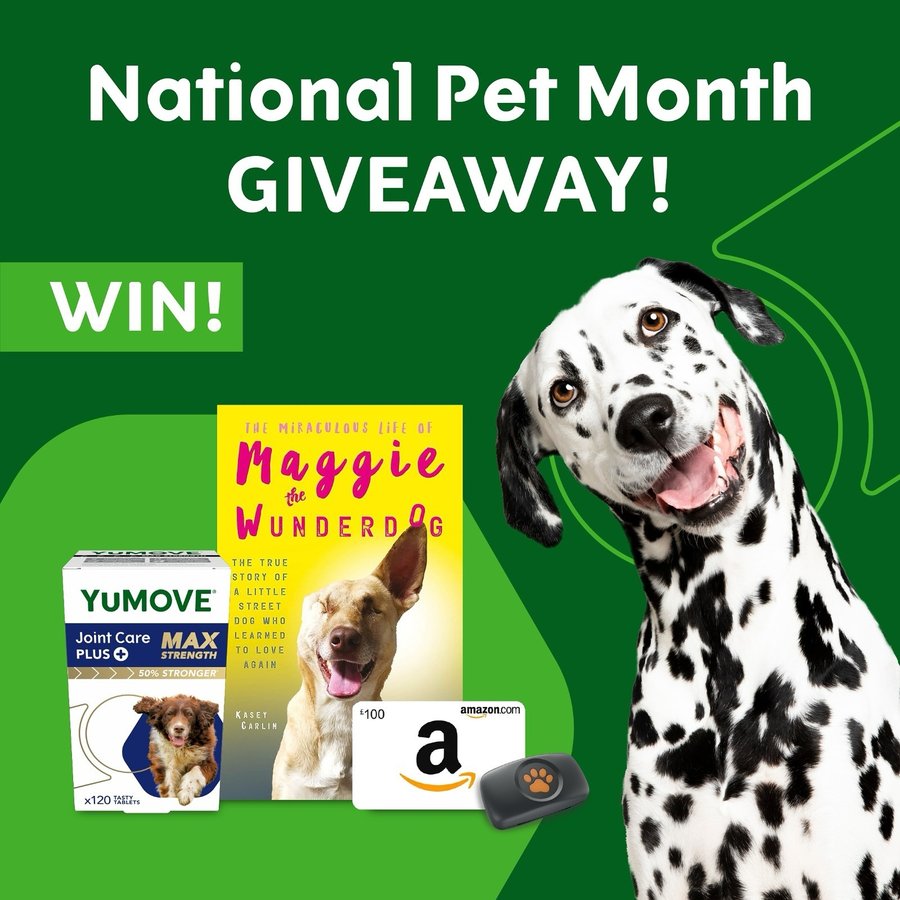 Instagram post by @maggiethewunderdog for YuMOVE. Caption reads: 🐶 National Pet Month Giveaway! 🐾 

*THE WINNER....