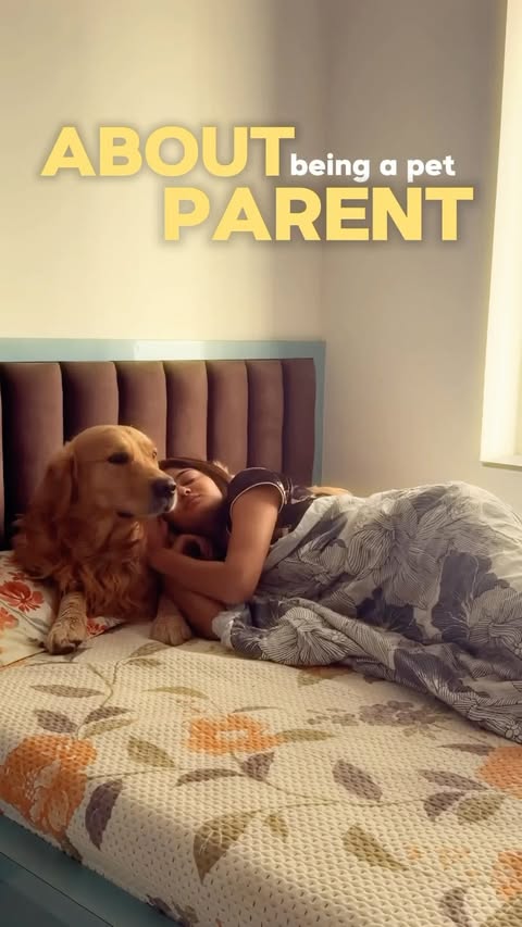 Instagram post by @prathadhage for Nimyle. Caption reads: [...] safe home too. 🐾💚 That’s why I trust....
