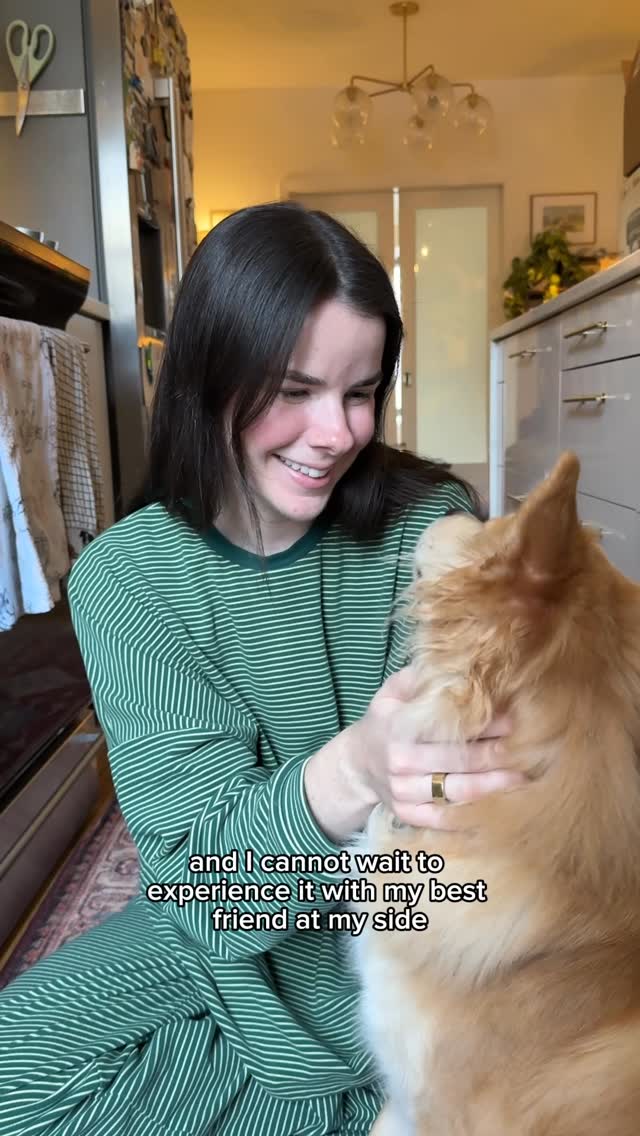 Instagram post by @simonsits for The Farmer's Dog. Caption reads: [...] wouldn’t be complete without @thefarmersdog....