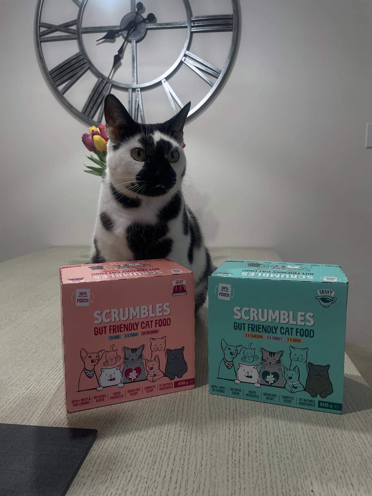 Instagram post by @__moothecowcat__ for Scrumbles. Caption reads: Furriends you need to get your hoomans to run....