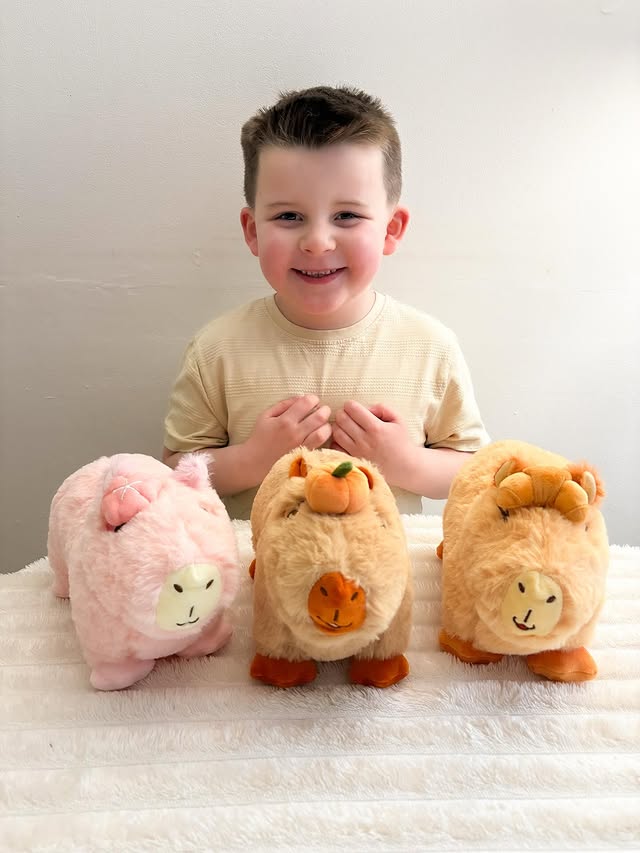 Instagram post by @jackii_gee for Capy Era. Caption reads: [...] plushie’s we were sent out from @capyera....