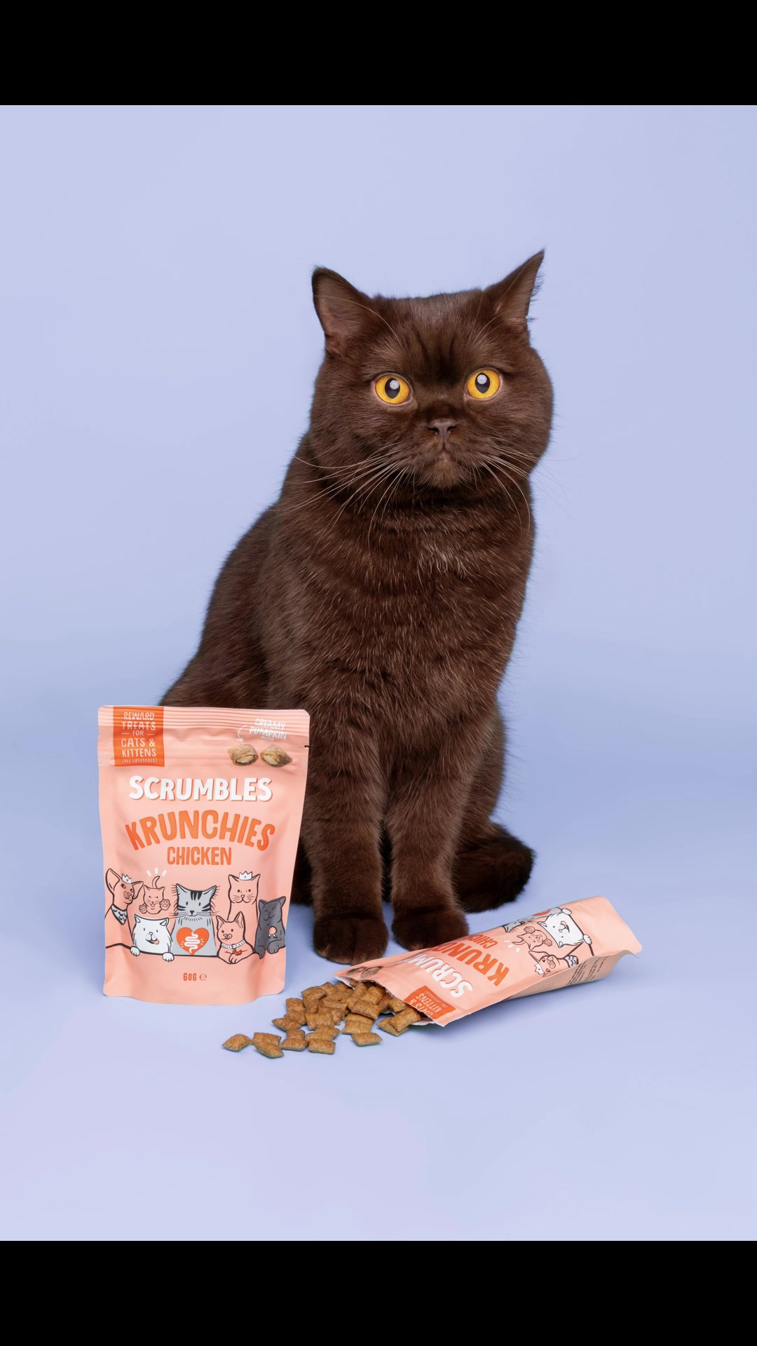 TikTok post by @mylo_the_mouser for Scrumbles. Caption reads: BTS of Mousse’s photoshoot! Photos revealed at the....