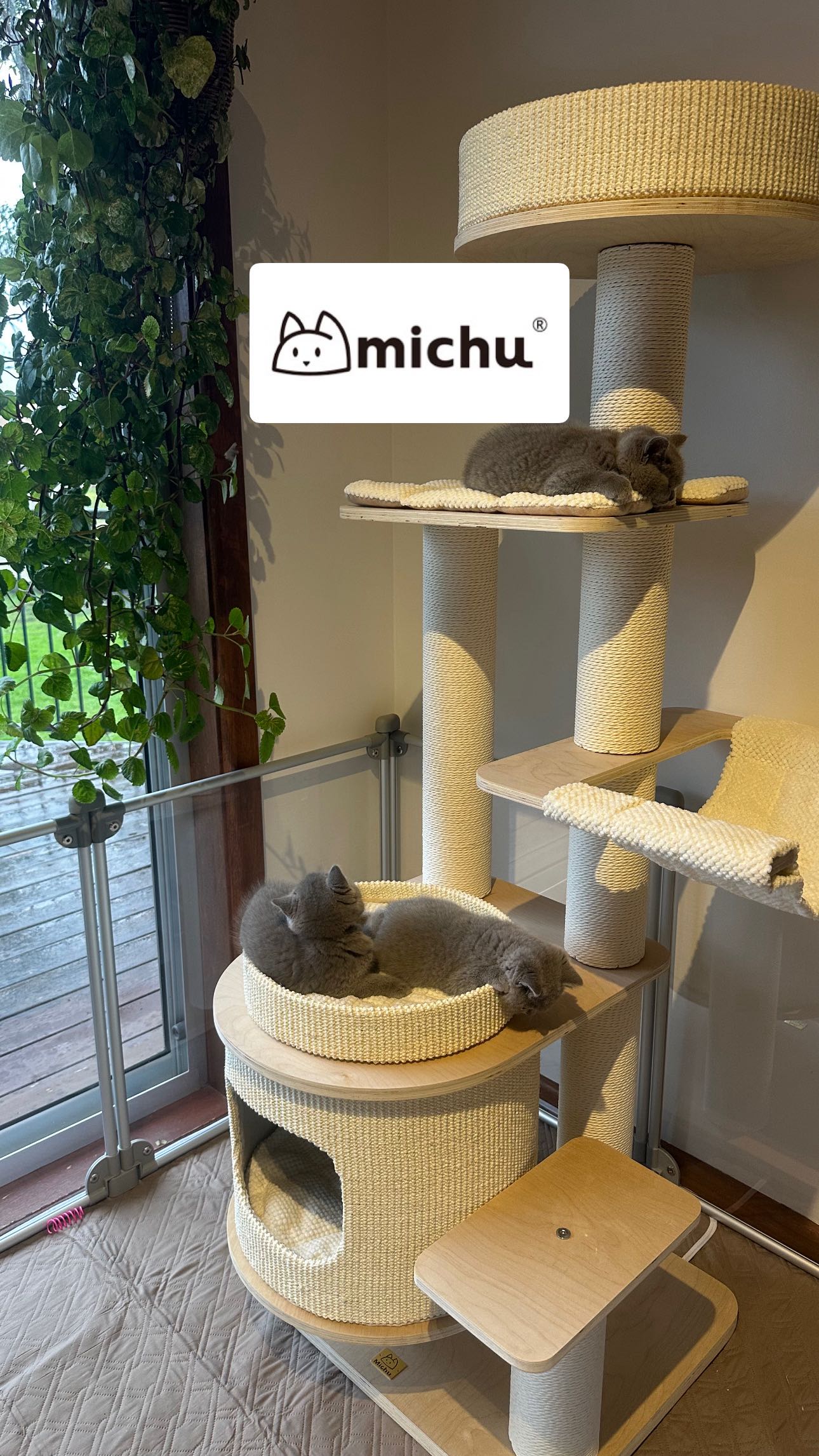 Instagram post by @royalbritishempire for MICHUPET. Caption reads: [...] to stay chic even with cats, 
🐾 the....