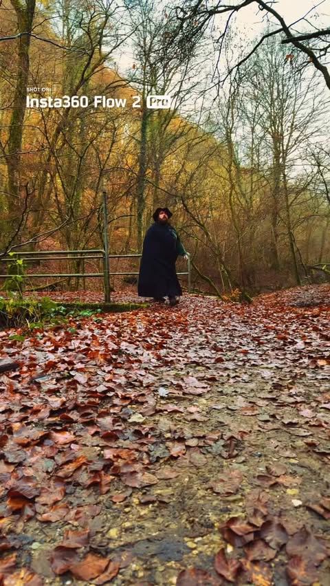 Instagram post by @wothius for Insta360. Caption reads: The @insta360 Flow 2 Pro feels like someone put a....