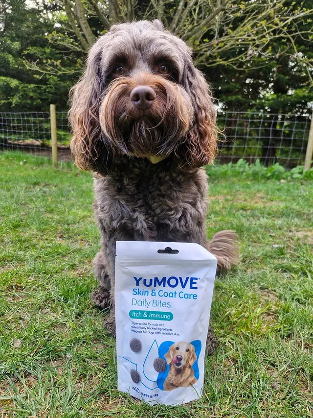 Instagram post by @teddy.the.poo134 for YuMOVE. Caption reads: [...] and the itching. Don't worry though....