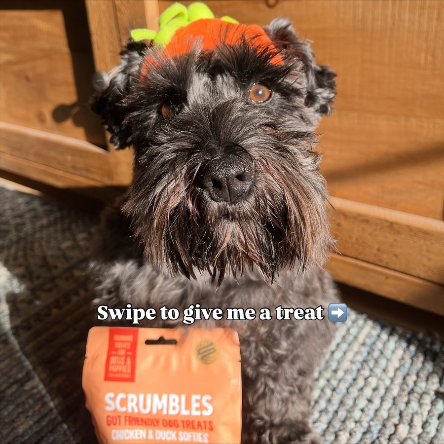 Instagram post by @its_little_eddy for Scrumbles. Caption reads: [...] ready for Halloween, these are my @scrumbles....