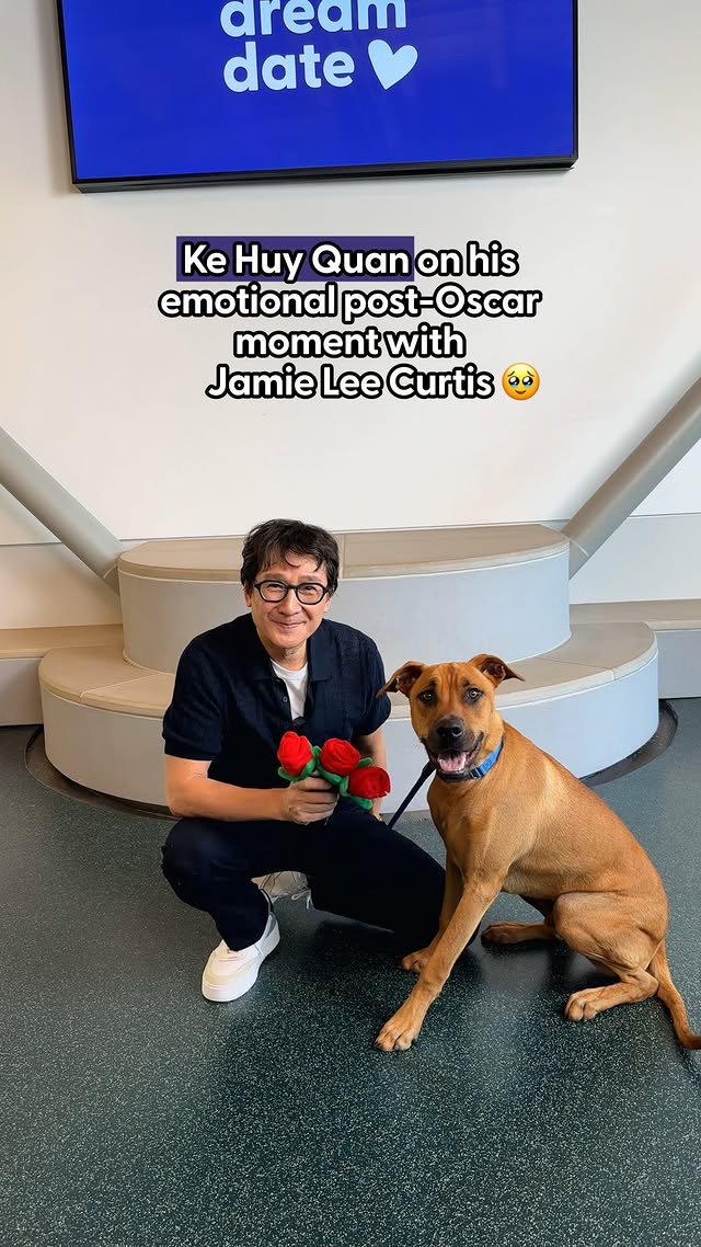 Instagram post by @annenbergpetspace for The Dodo. Caption reads: @kehuyquan told us about Spielberg’s advice, his....