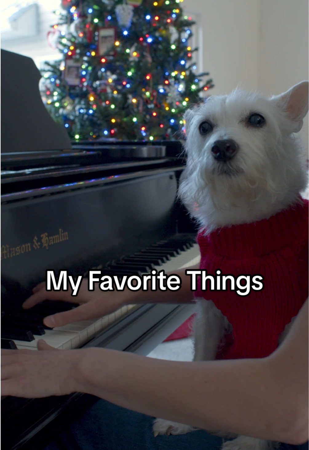 TikTok post by @karapiano for Rodgers & Hammerstein. Caption reads: [...] life this holiday season! Here’s @Rodgers &....