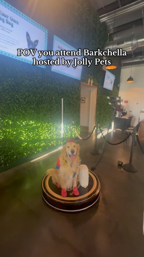 Instagram post by @it_is_a_pancake_life for Big Barker. Caption reads: [...] Barkchella hosted by @jollypets....