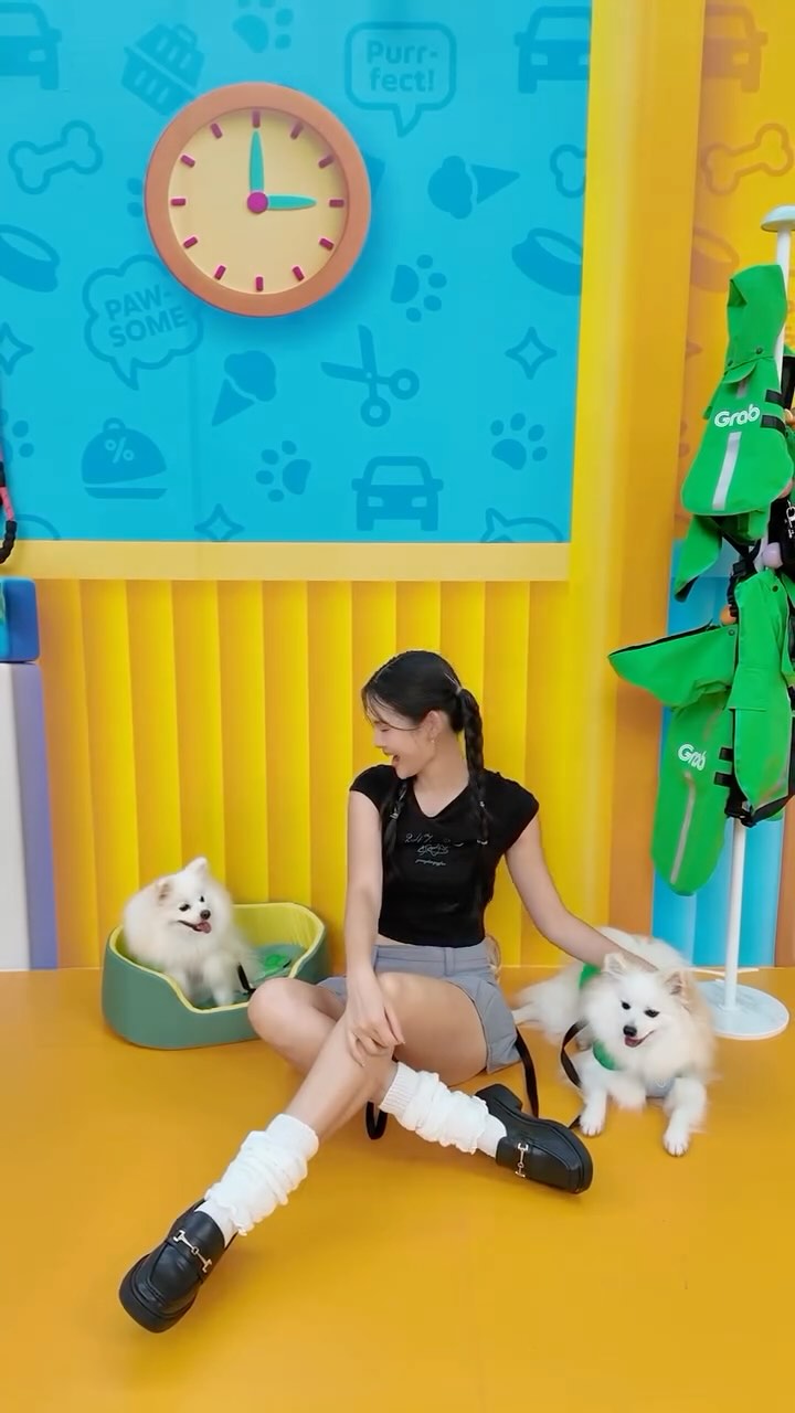 Instagram post by @aglimpseofrach for gRAB. Caption reads: When businesses move towards being even more pet....