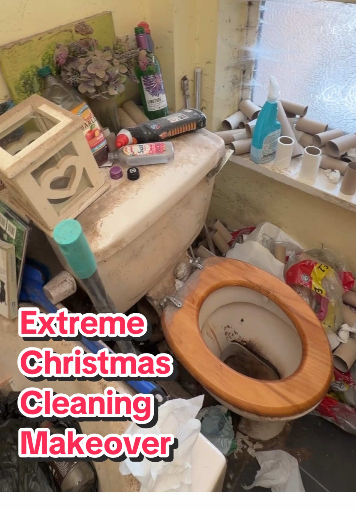 TikTok post by @cleanwithbea for HOTO Tools. Caption reads: [...] the HOTO Flexi Cordless Spin Scrubber @HOTO....