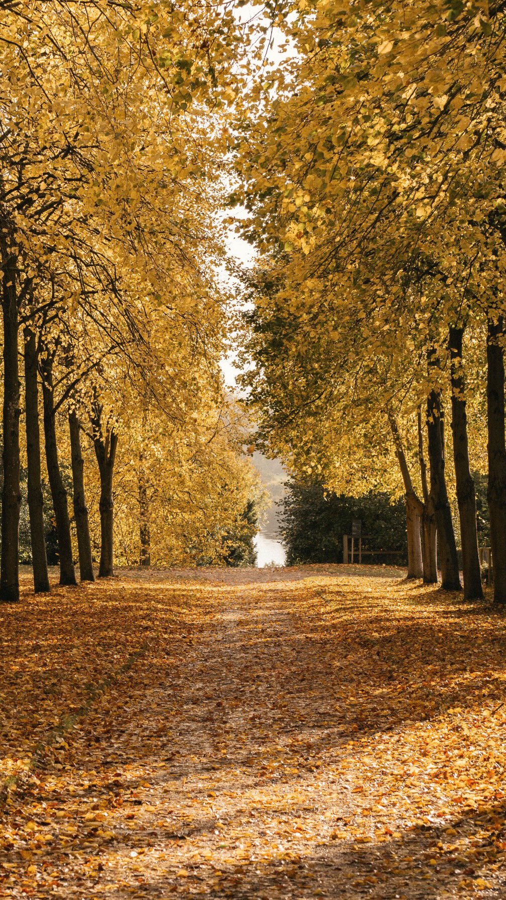 Instagram post by @lydia for Sinead Keary. Caption reads: Ad Ladies Lunch ready 🇮🇪 @sineadkearythelabel.