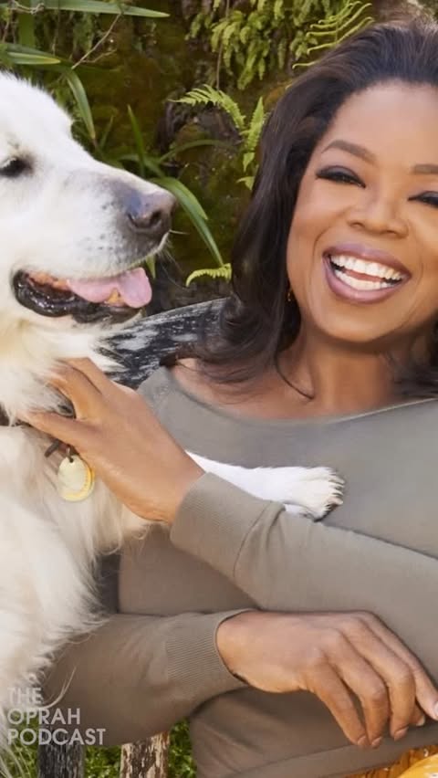 Instagram post by @oprah for The Farmer's Dog. Caption reads: [...] presented by the good folks at....