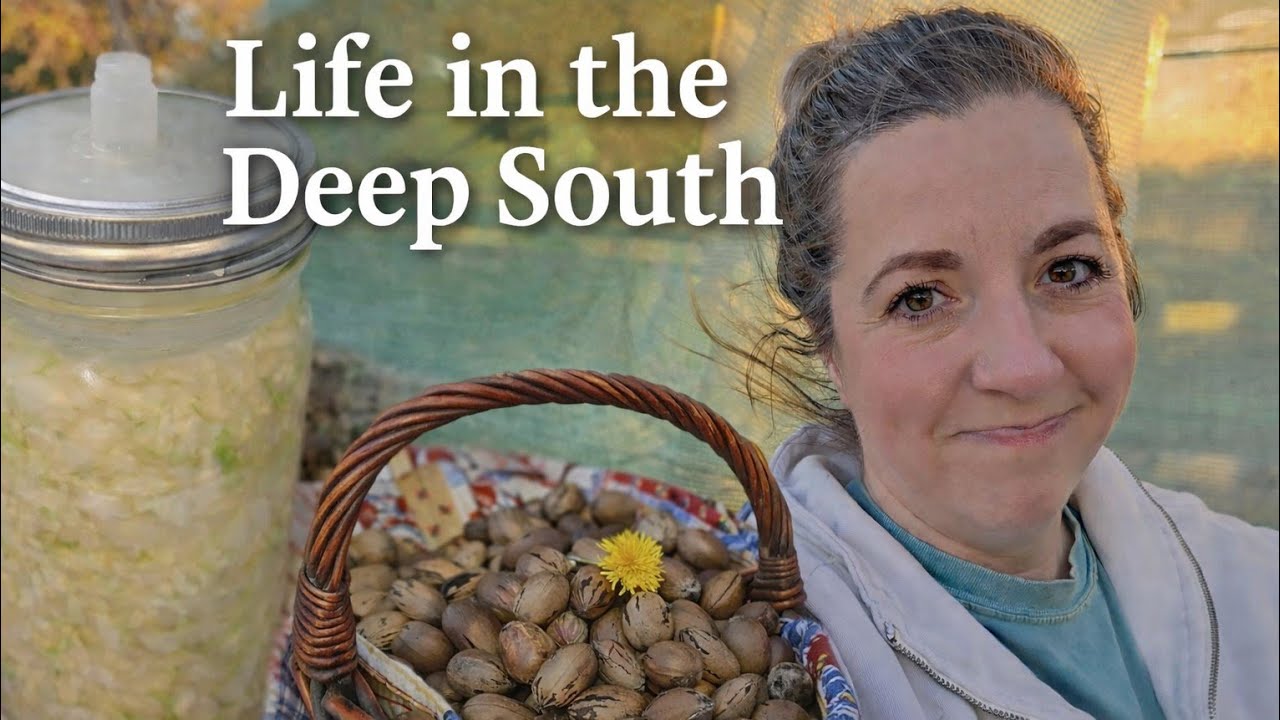 YouTube post by @OurSmallTownLife for Boroux. Caption reads: Life in the DEEP SOUTH... Old Fashioned....