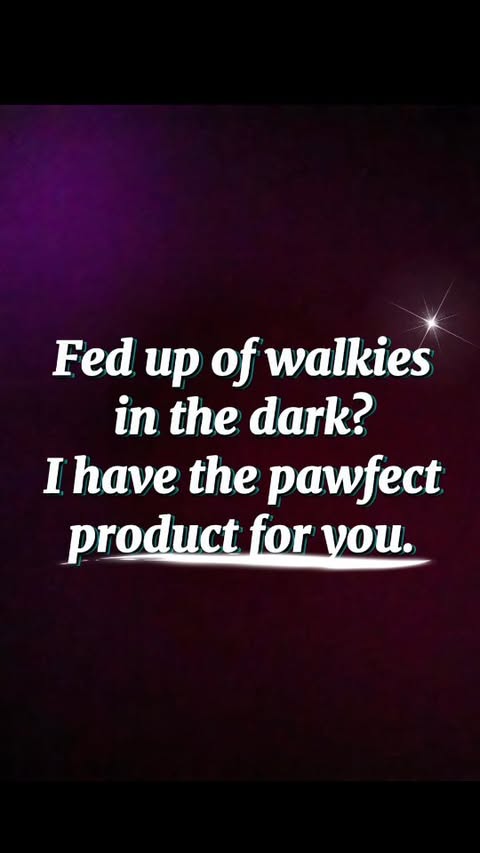 Instagram post by @bea_russell2021 for FidaPet. Caption reads: [...] 

No more walks in the dark with @fidapet's....