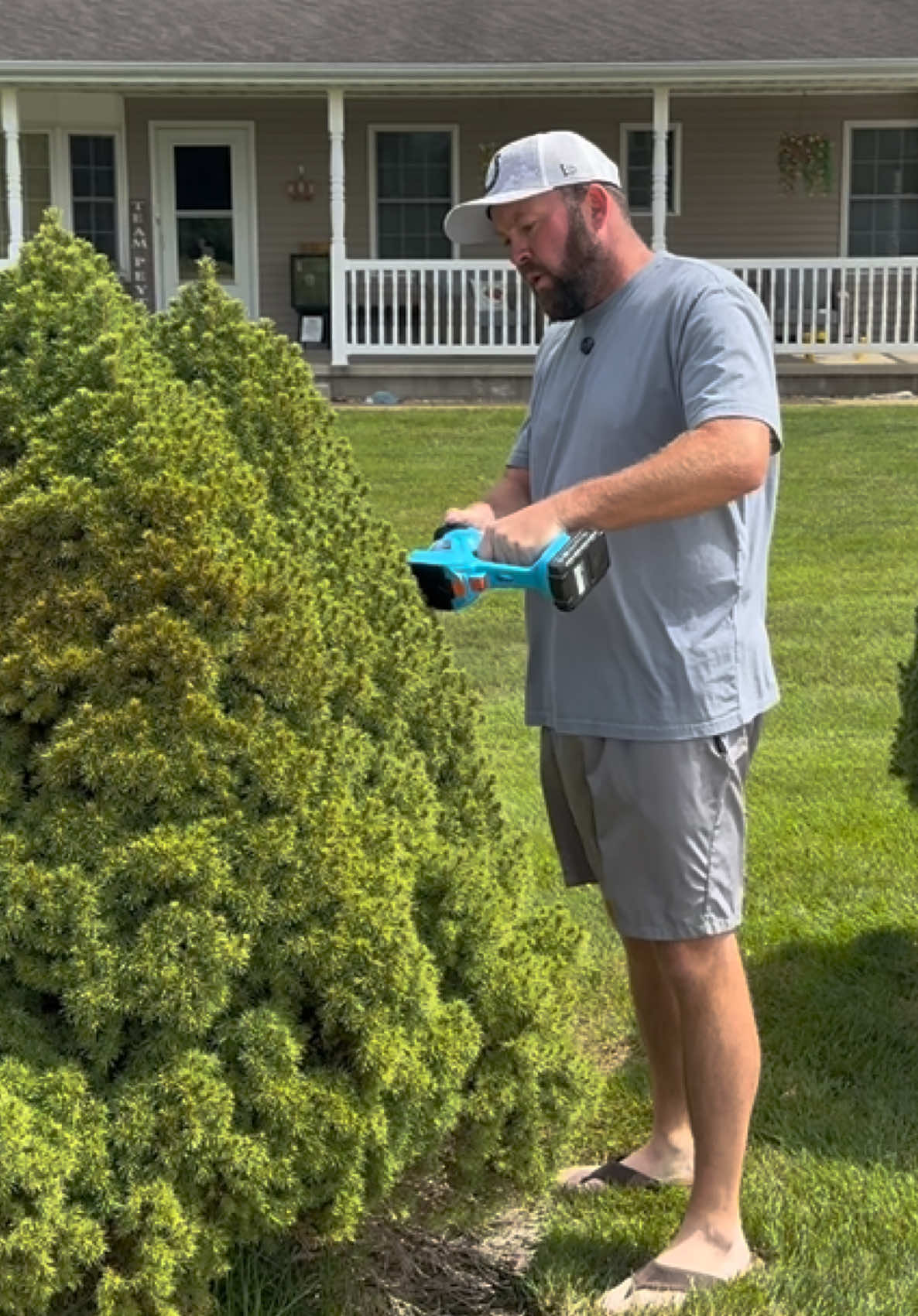 TikTok post by @37yroldgrandparents for Seesii. Caption reads: Perfect hedging tool for all occasions @Seesii....