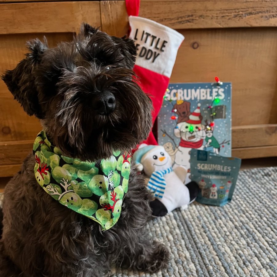 Instagram post by @its_little_eddy for Scrumbles. Caption reads: [...] Christmas 😋🎄

Have you seen that....