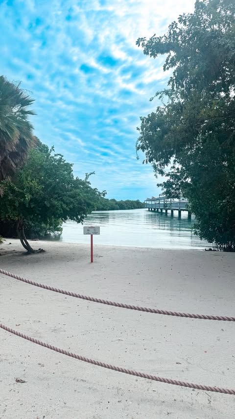 Instagram post by @ms.johnson.teaches for Norwegian Cruise Line. Caption reads: was soooo tired (because we lost an hour in the....