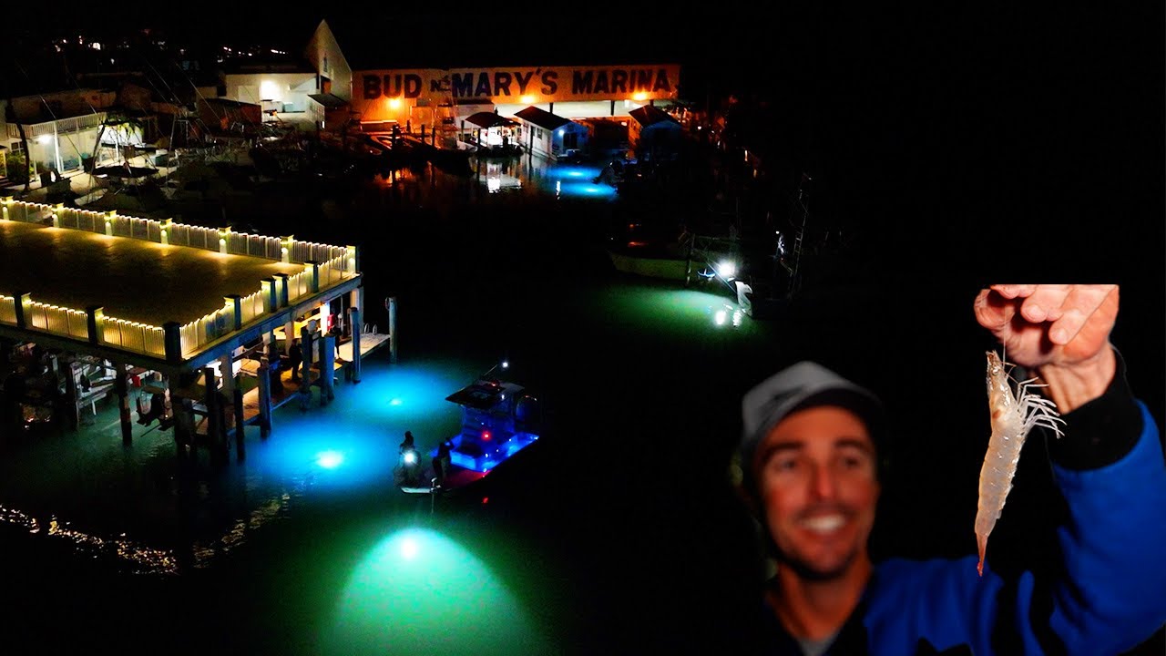 YouTube post by @StanzFam for Mustad Fishing. Caption reads: Florida Keys Shrimp Run! Shrimp Fried Rice!....