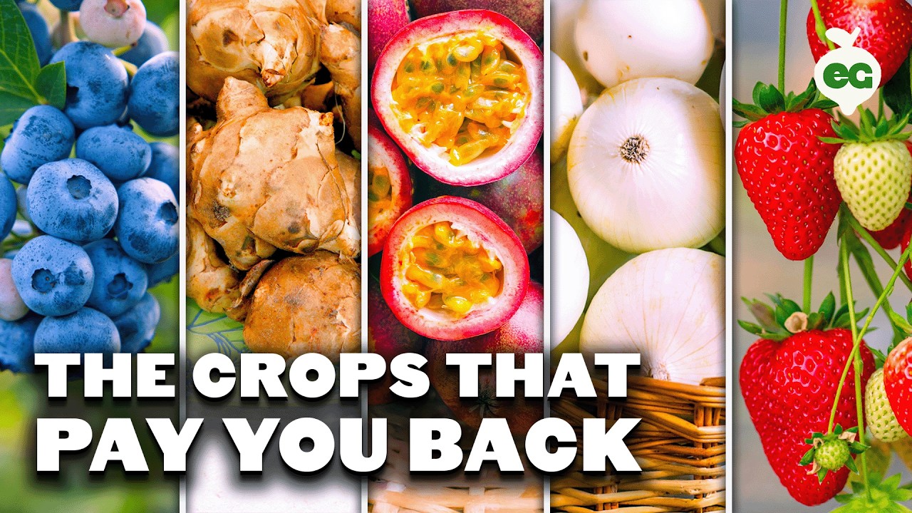 YouTube post by @epicgardening for Epic Gardening. Caption reads: Grow These 29 Perennial Crops for Endless Harvests.